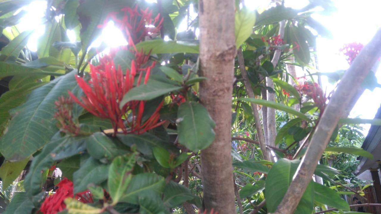 Koi Gili Guest House Джили Трауанган Екстериор снимка